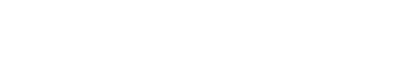 LimoGroup.us